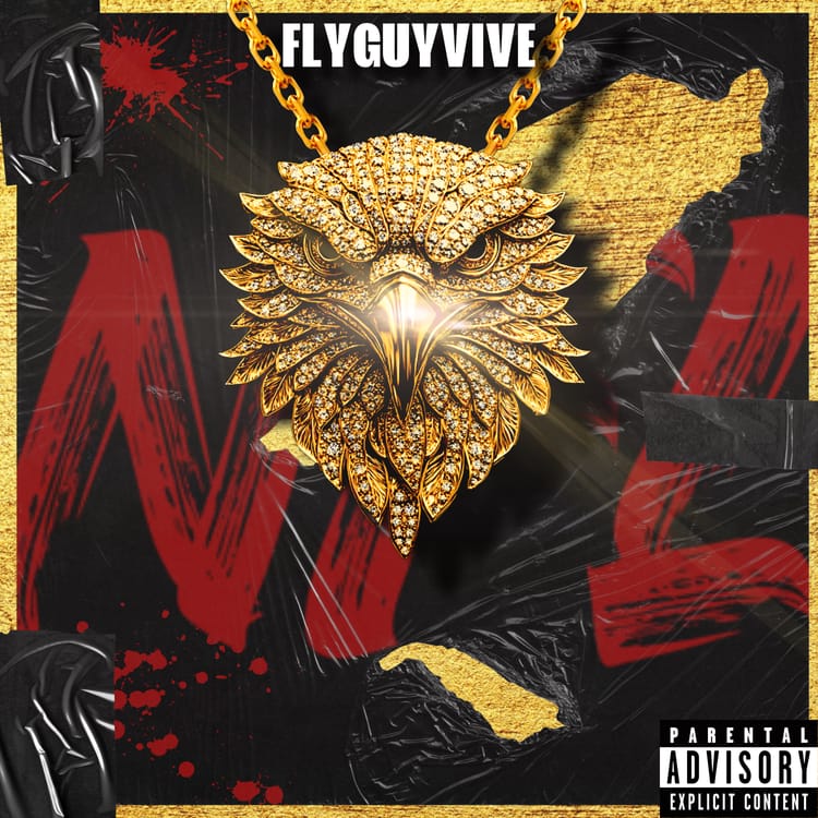 Fly Guy Vive: A Journey from Detroit to New York, One Track at a Time